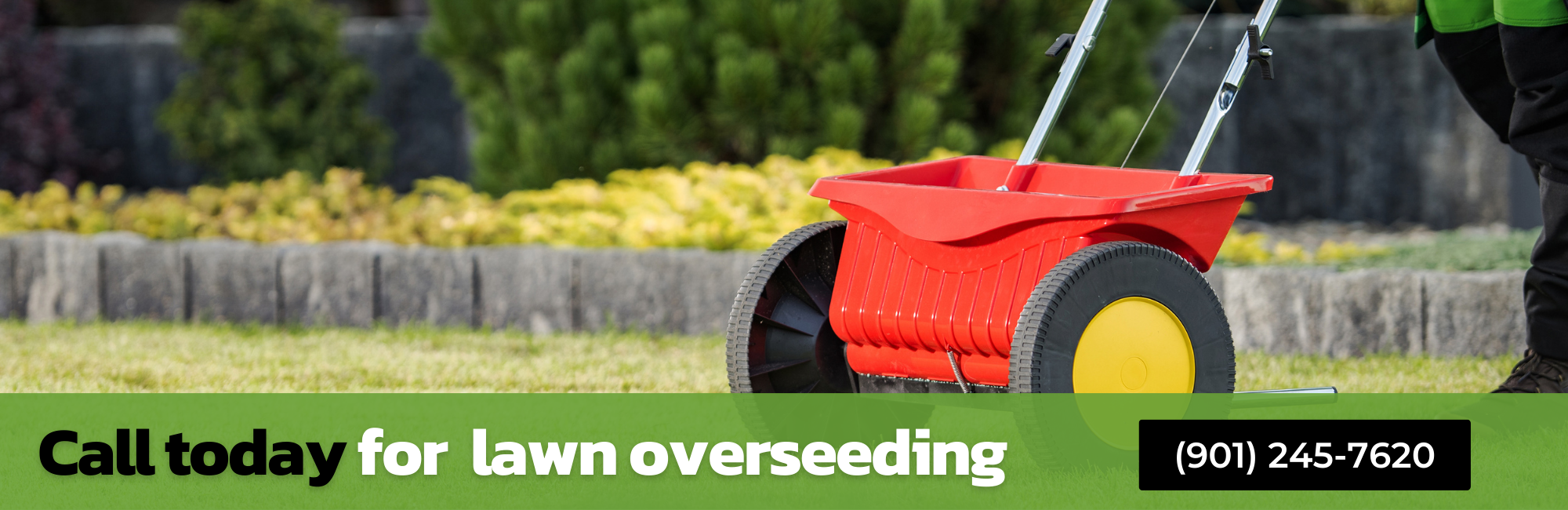 Call Today For Expert Lawn Overseeding 