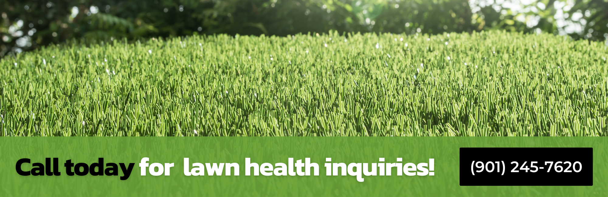 Call today for  lawn health inquiries! 