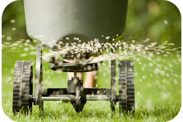 click here to learn more about our  landscape fertilization services